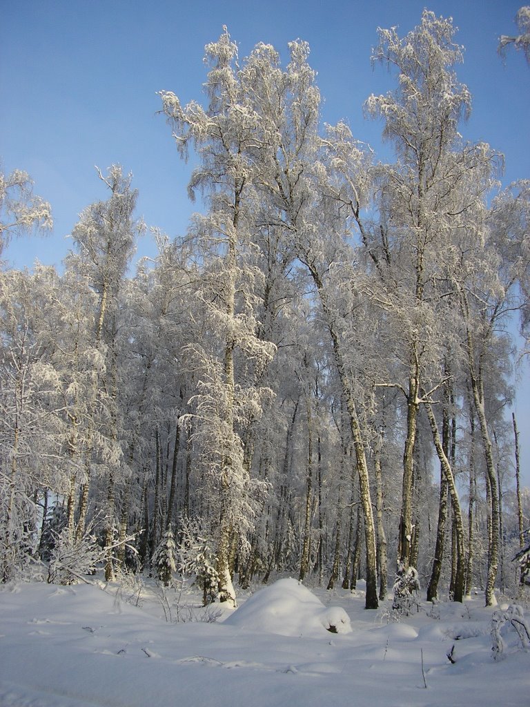 Таруса микрорайон 2