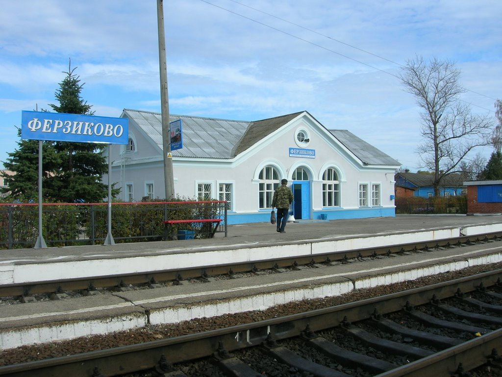 Станция Ферзиково