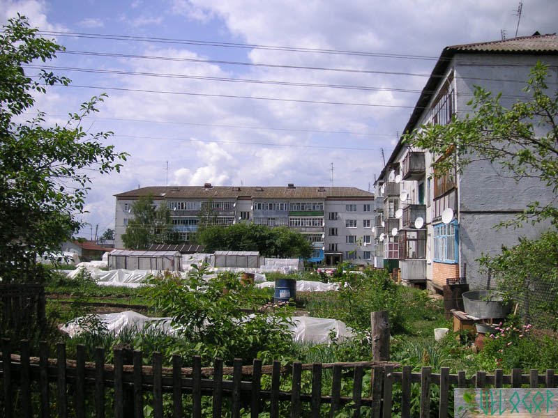 Ферзиково