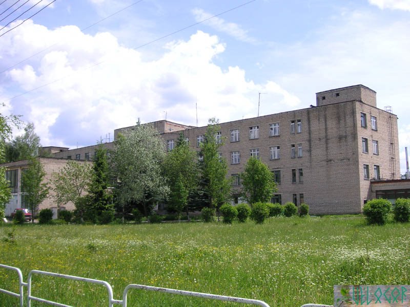 Ферзиково