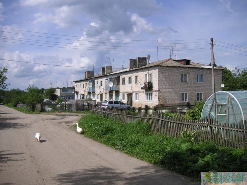 Ферзиково