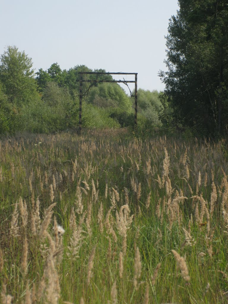 Габаритные ворота