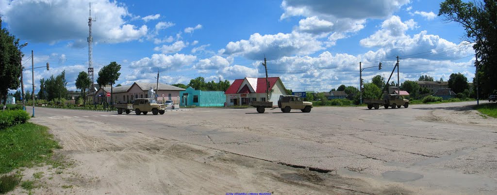 с.Хвастовичи, поворот на Красное (06.06.2010)