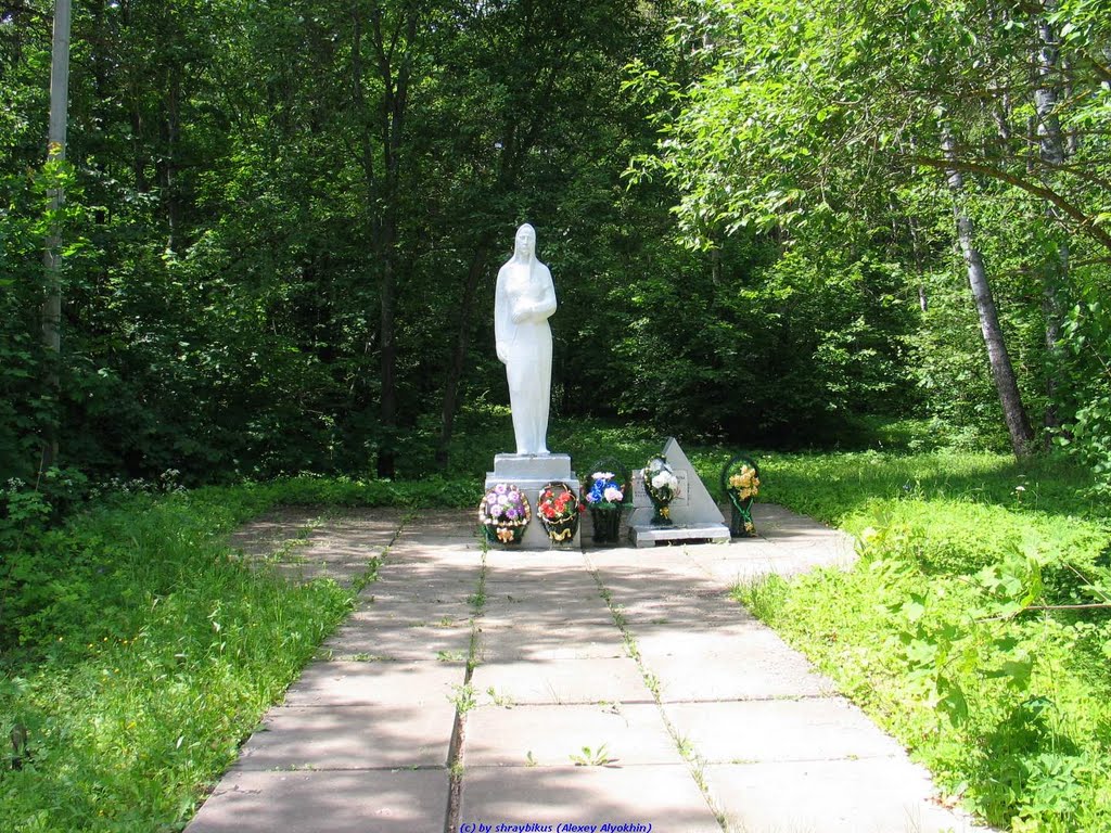 Памятник погибшим воинам в с.Хвастовичи (06.06.2010)