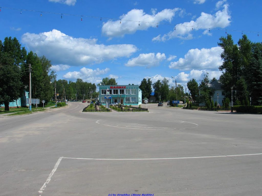 Центральная площадь в с.Хвастовичи (06.06.2010)