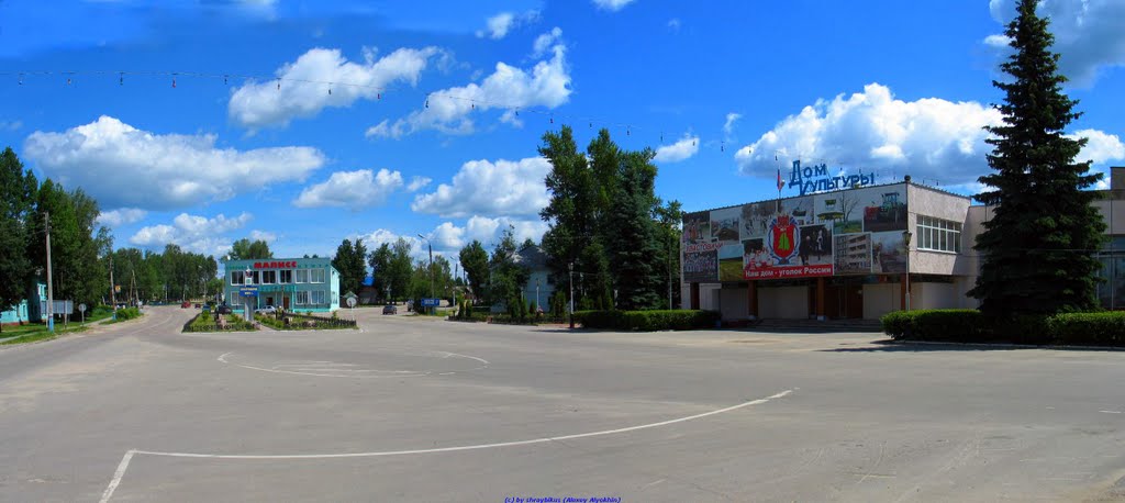 Центральная площадь с.Хвастовичи (06.06.2010)