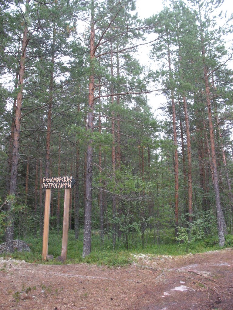Беломорские петроглифы