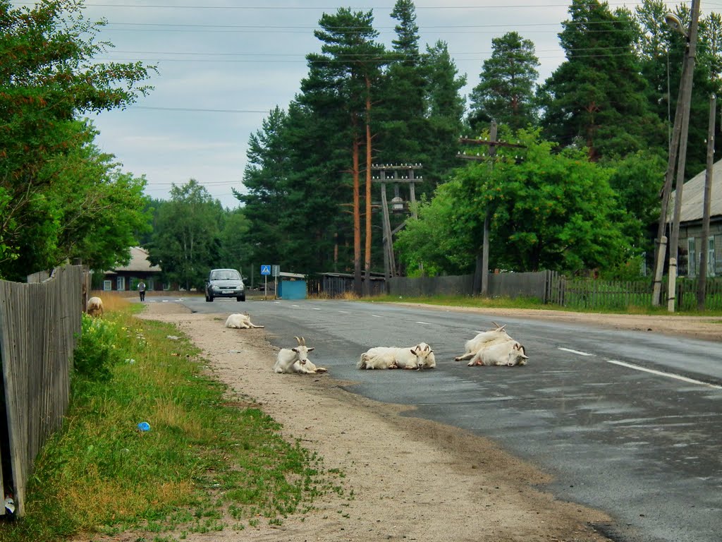 пос. Гирвас
