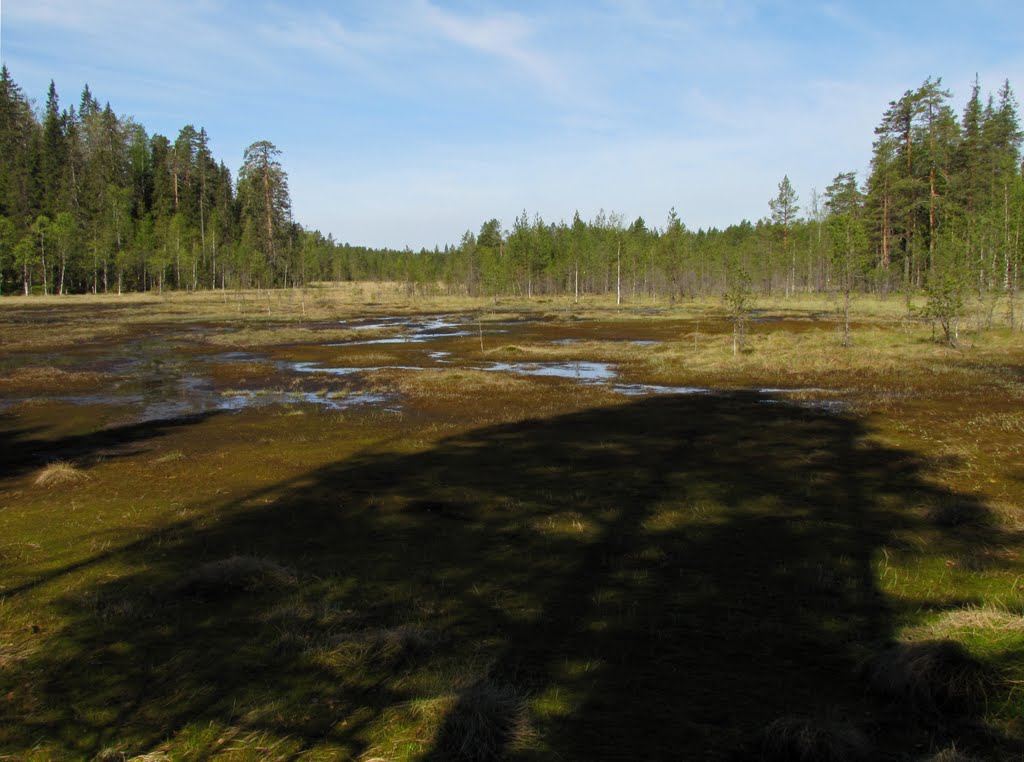 Petrozavodsk