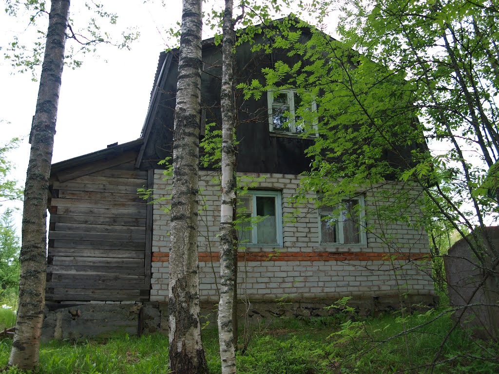 Дачка