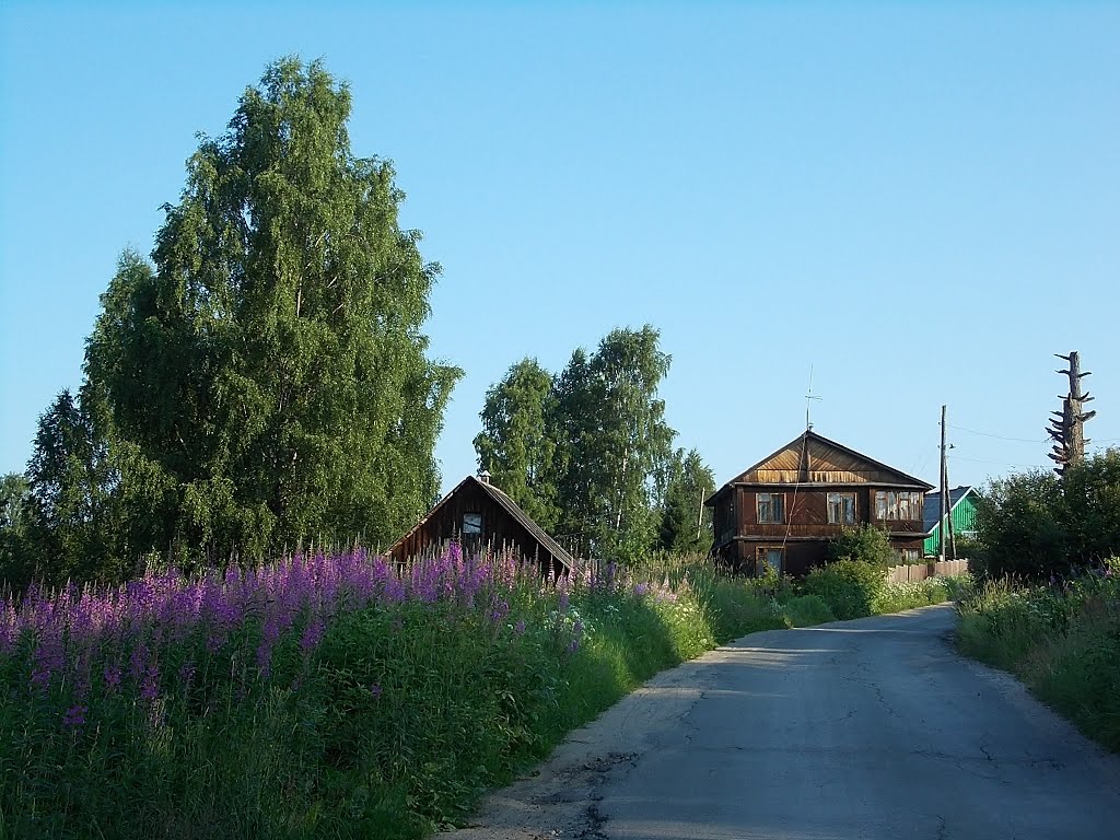 Летним утром в деревне