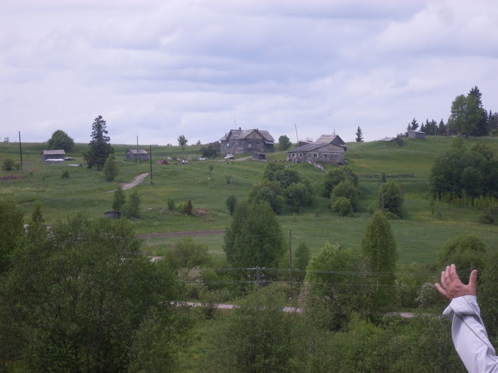 Kammosenmäki 2009