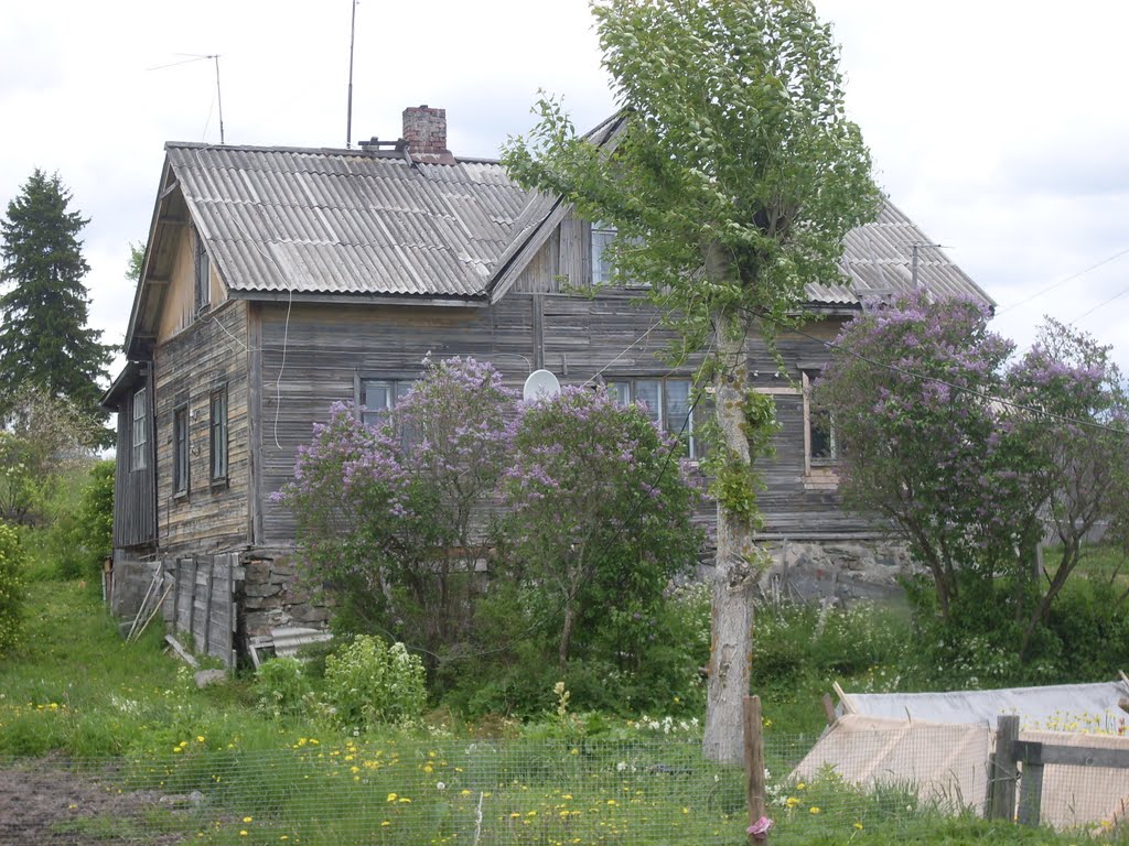 Kammosenmäki 2009