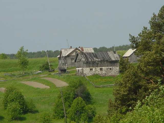 Kammosenmäki 2001