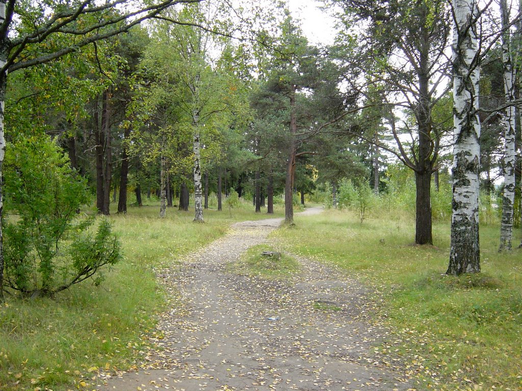 DSC02863