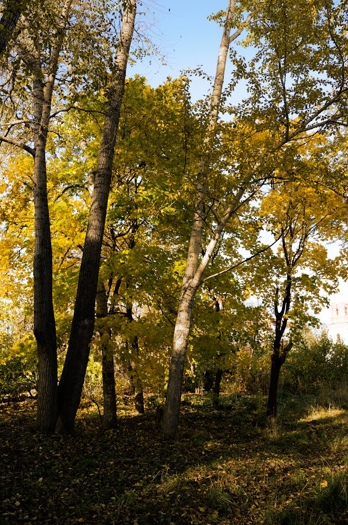 Old park