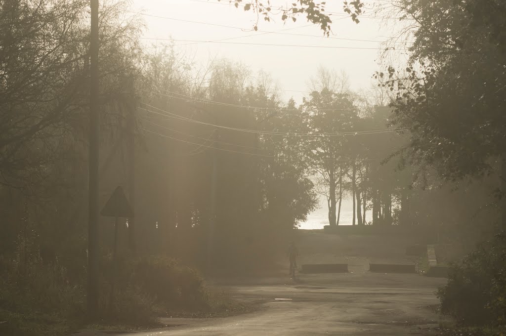 Old park