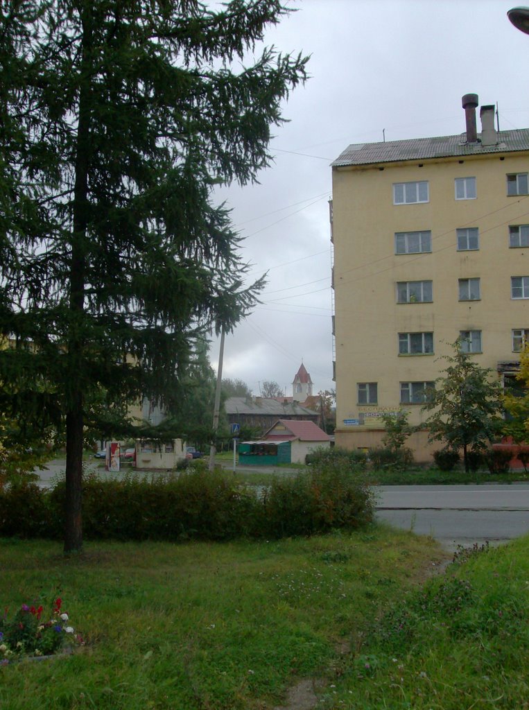 kontupohja lut.