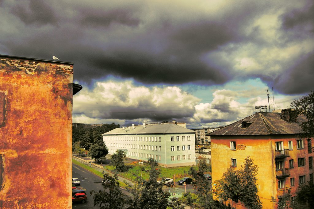 Scool  #6