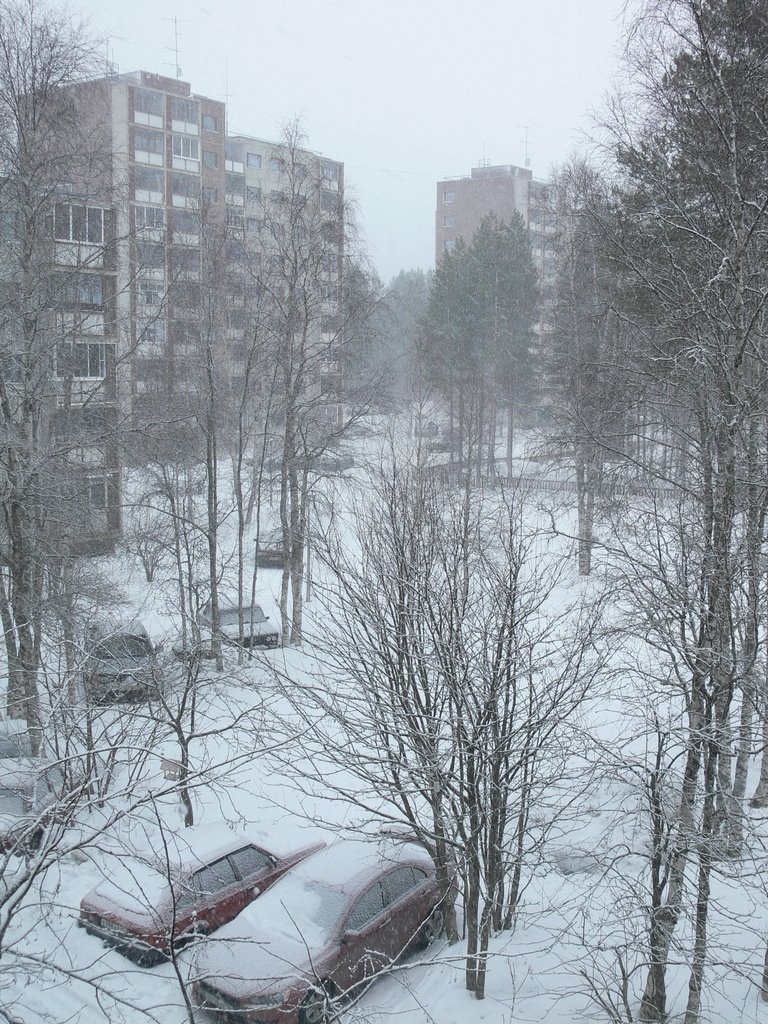Костомукша. Весна.  20.04.2009