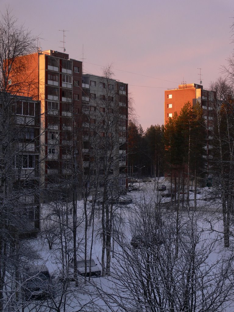 Костомукша. Весна.  20.04.2009