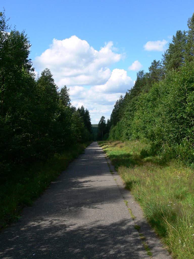 Перспектива.