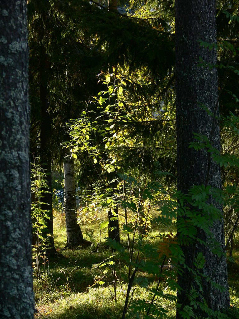 Костомукша. Советская 9.
