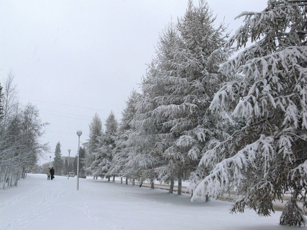 Костомукша.  Первый снег...