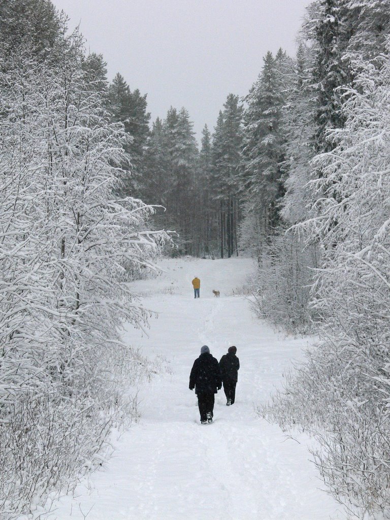 Костомукша.  Первый снег...