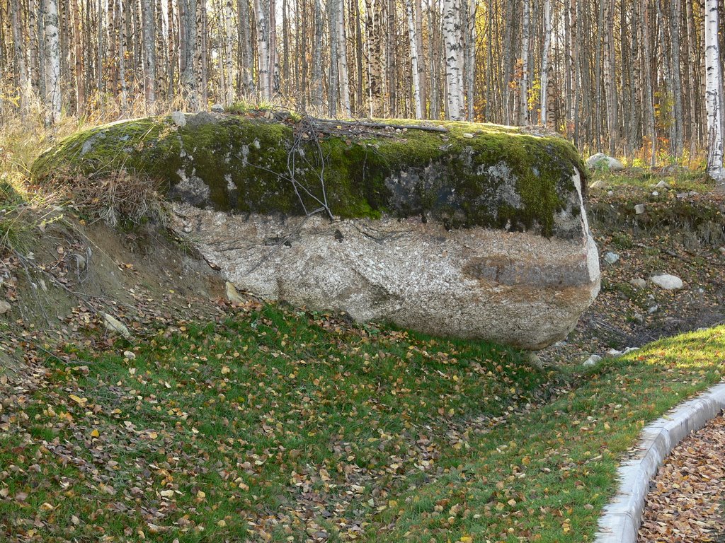 Золотая осень.  26.09.2009