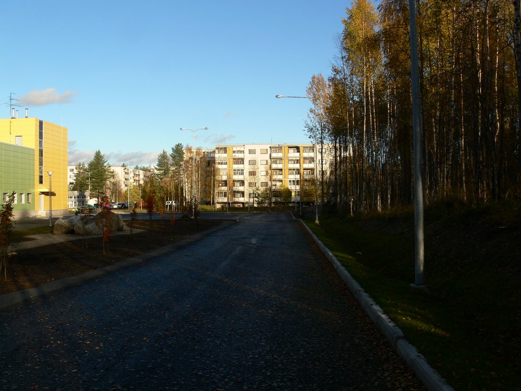 Золотая осень.  26.09.2009