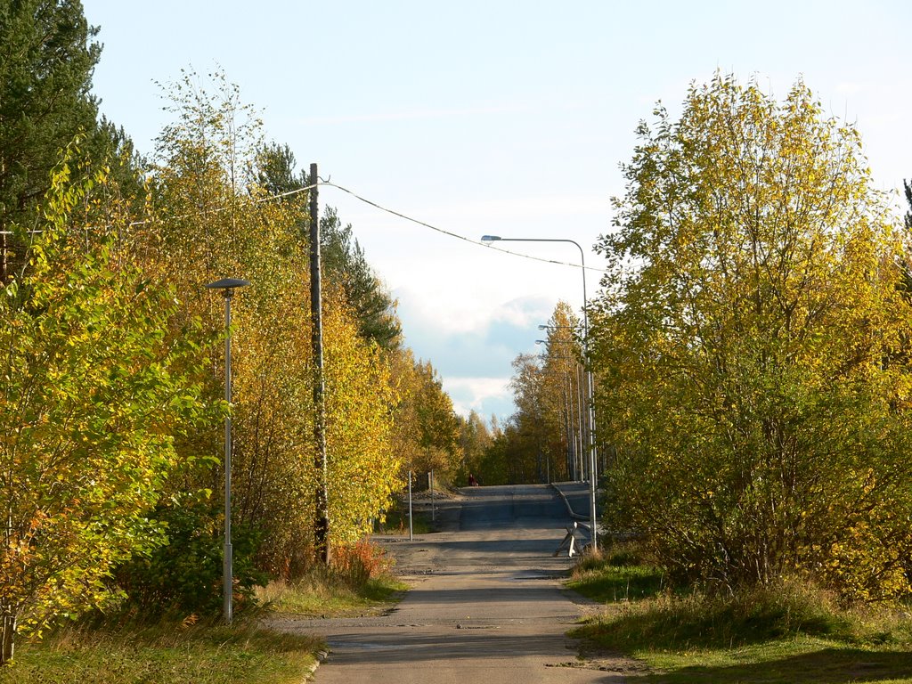 Золотая осень.  26.09.2009