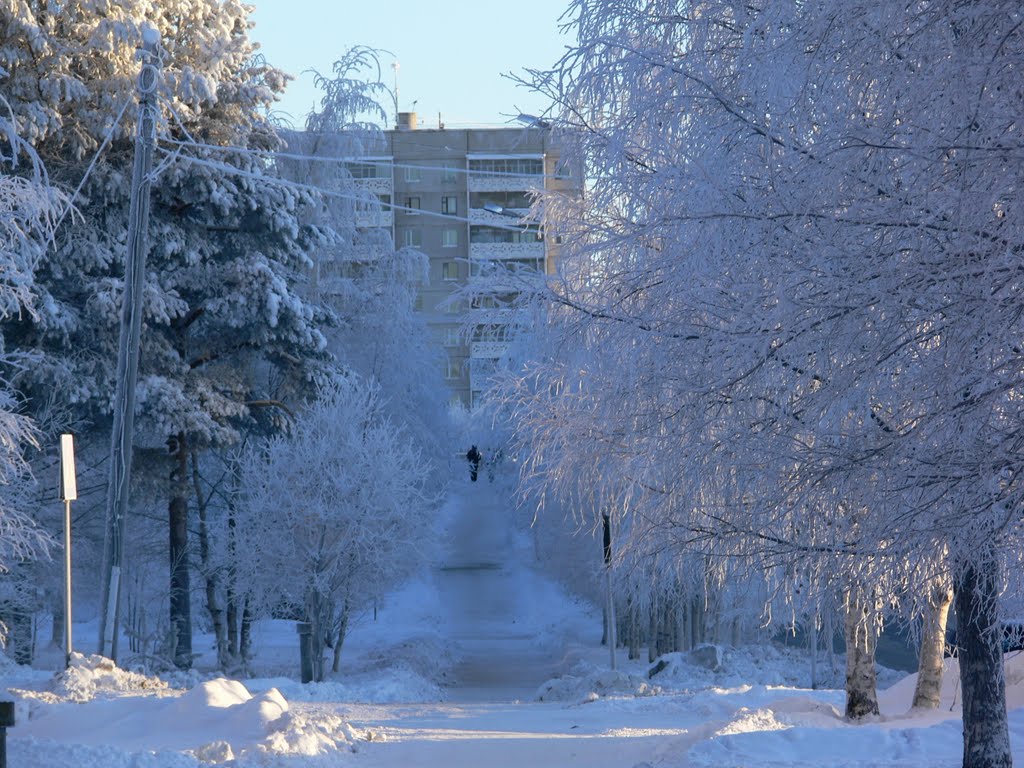 Улица Парковая. 15.01.2010.