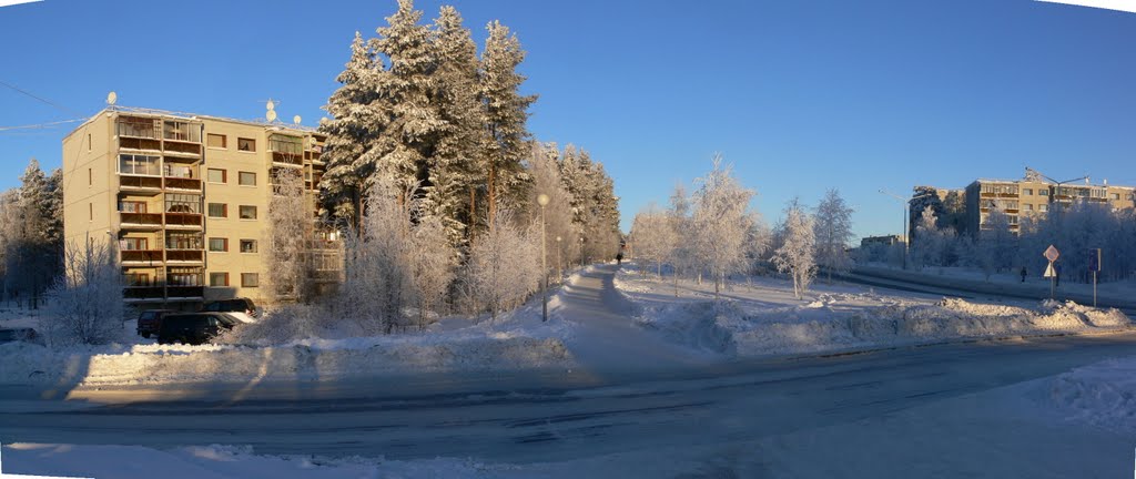 Улица Интернациональная. 15.01.2010.