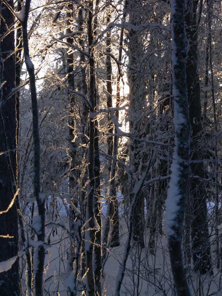 15.01.2010.