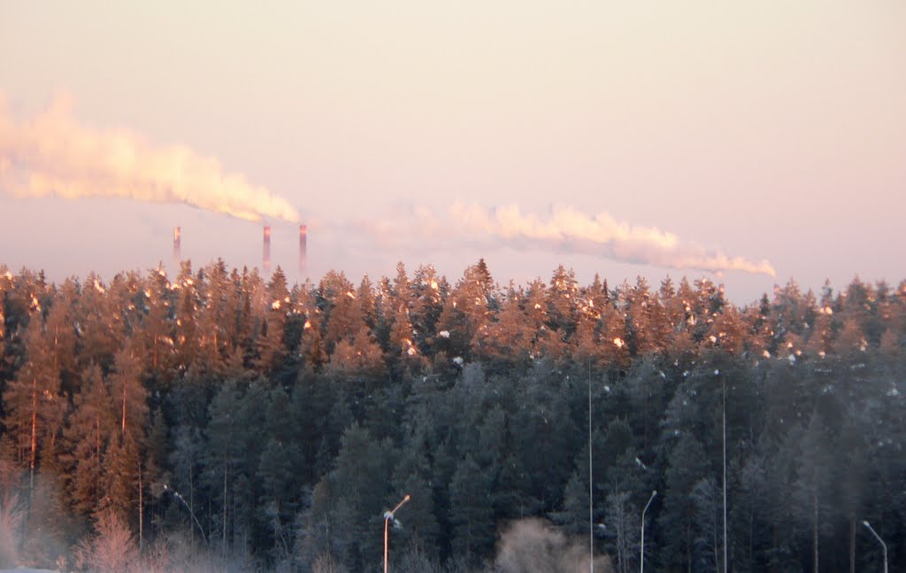- 30  C    21.01.2006