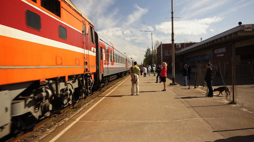 Поезд С.Петербург-Костомукша.