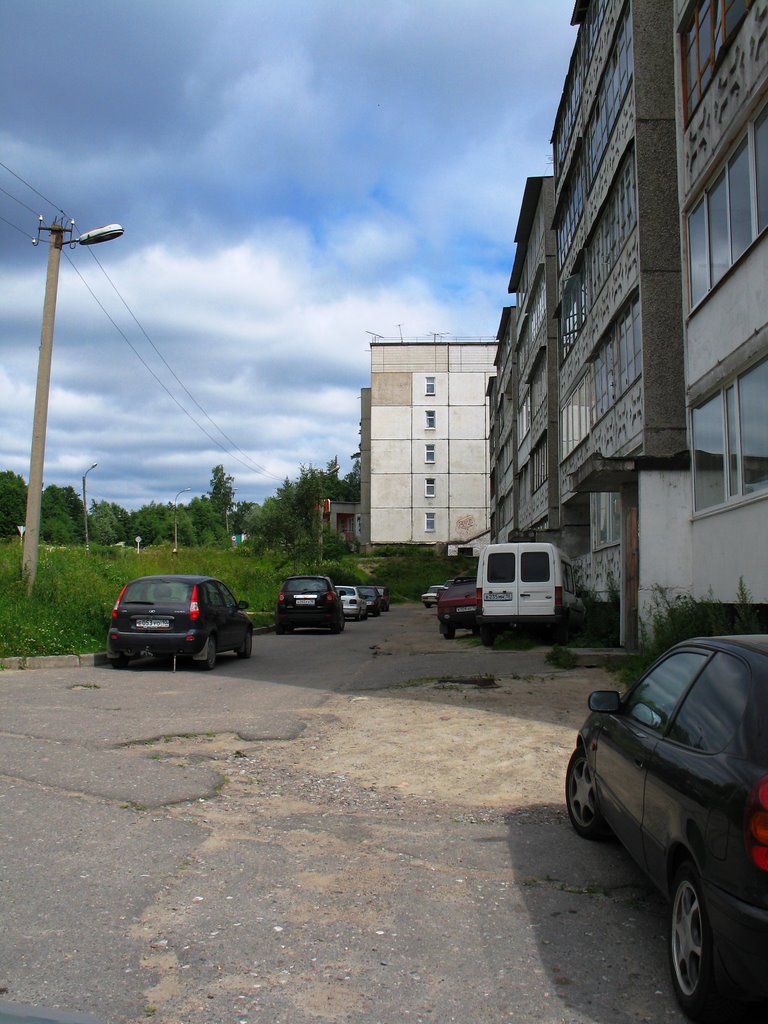 г.Лахденпохья. Июль 2008 года.