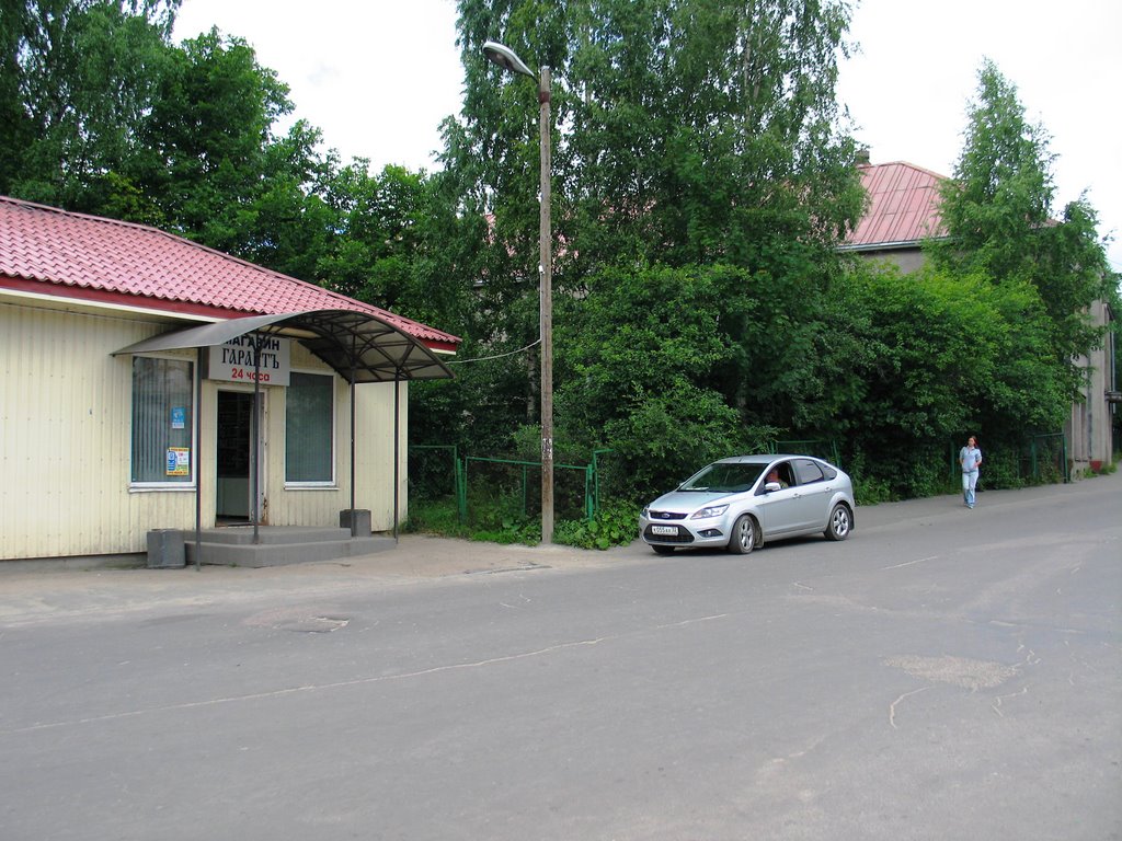 г.Лахденпохья, июль 2008 года