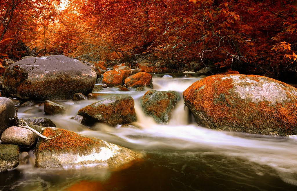 Road to autumn...