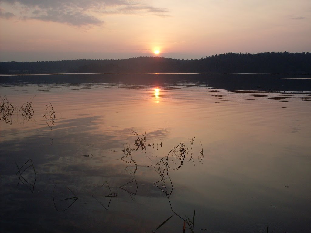 Утренняя зорька