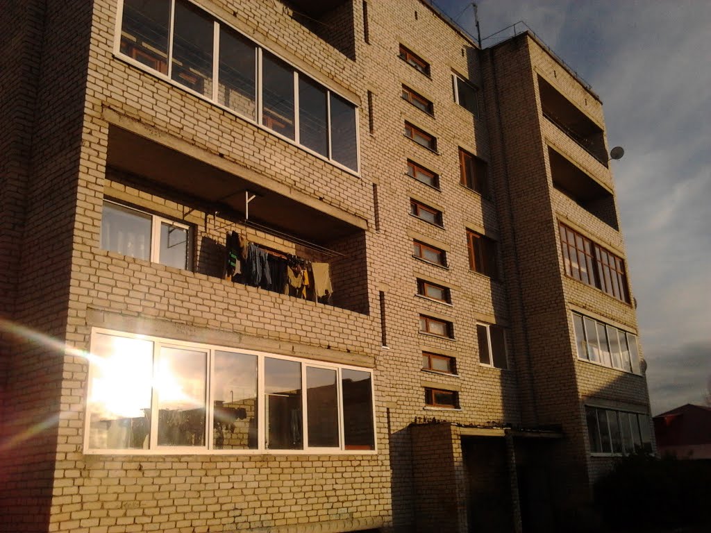 Жаровина 38