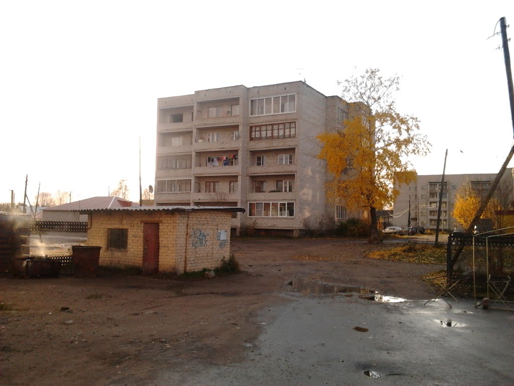 Жаровина 38