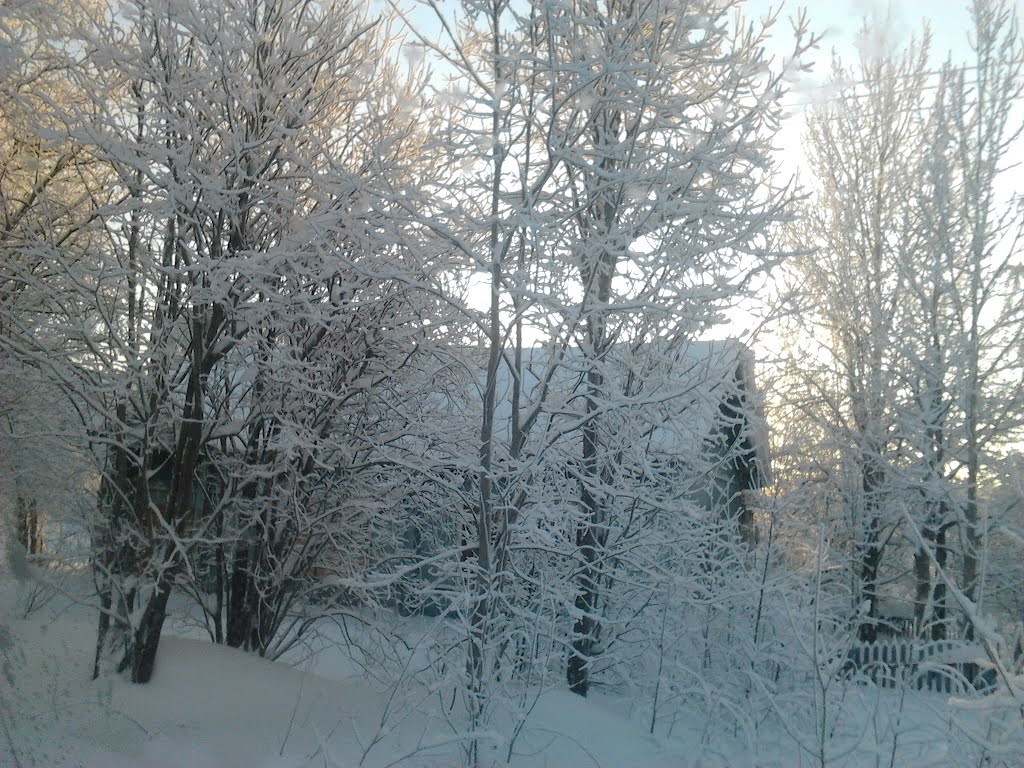 лоухи