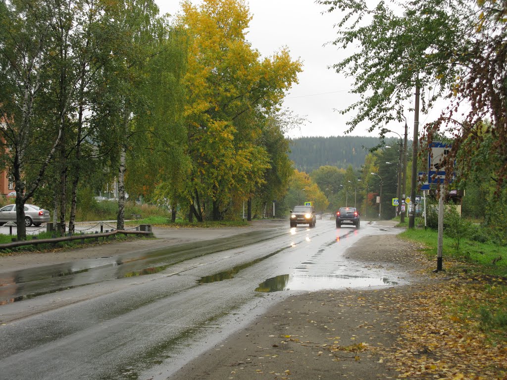 Дождливо