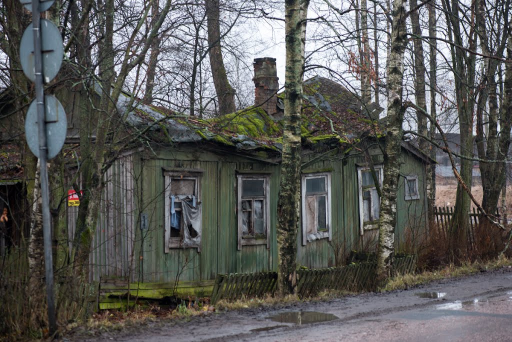 Олонец