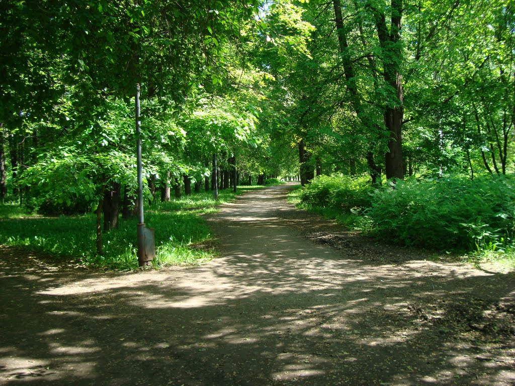 Аллея