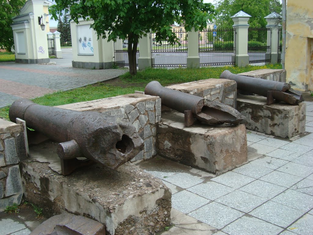 Пушки в губернаторском парке