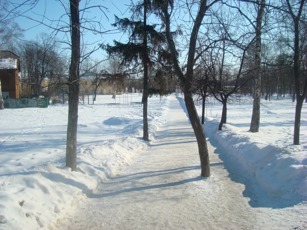 Аллея губернаторского парка