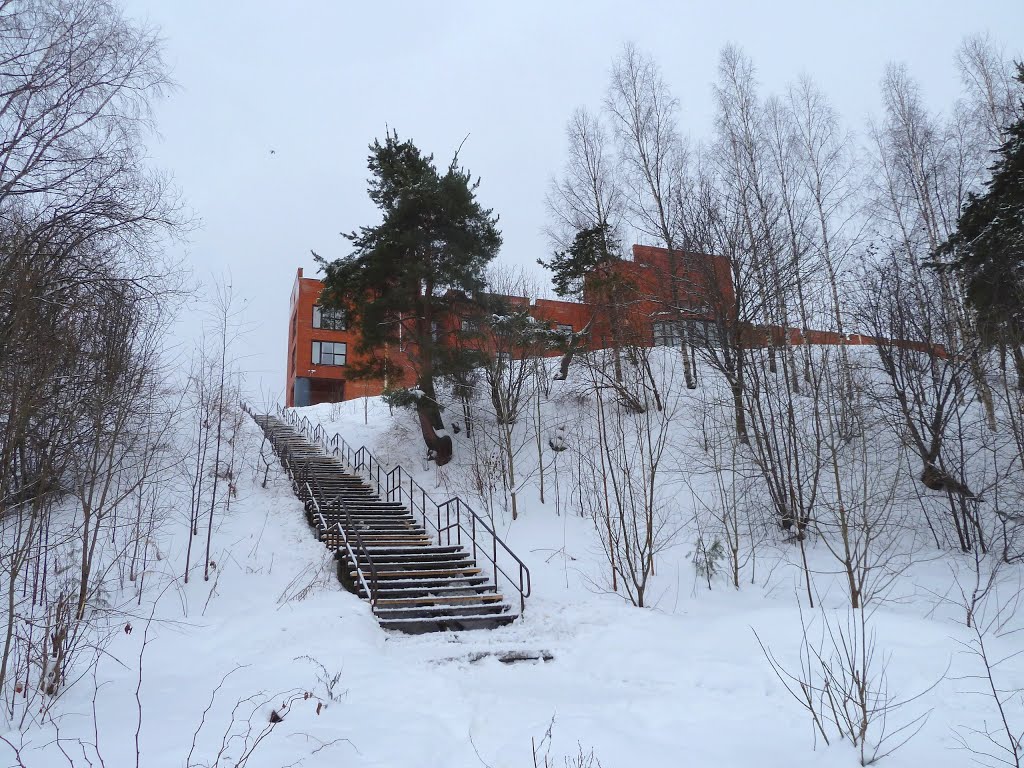 Лестница